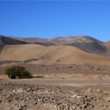 Desert