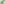 Bilder der studentischen Vertreter:innen und ihrer Stellvertreter:innen